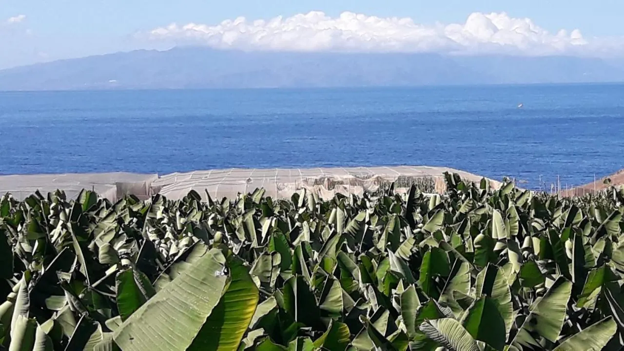 Apartamento Finca La Chiquita Hotel Guia de Isora