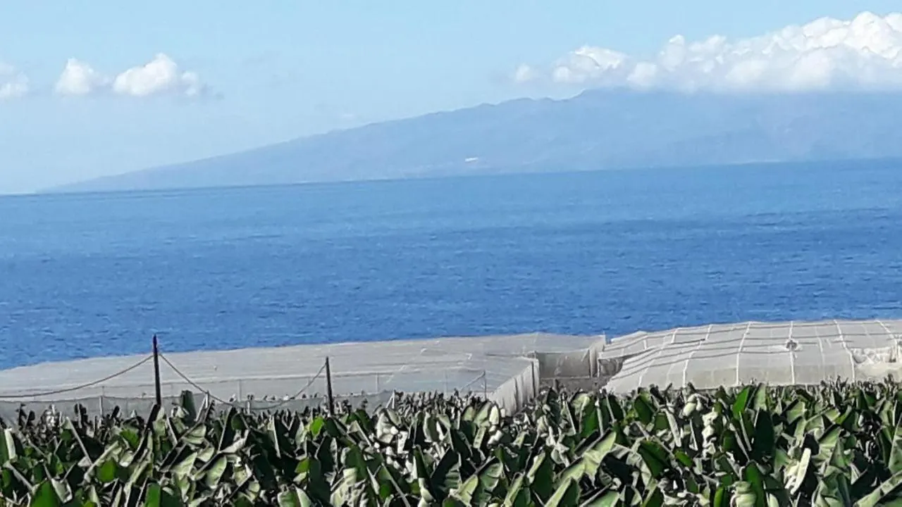 Apartamento Finca La Chiquita Hotel Guia de Isora